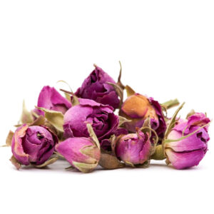 غنچه گل محمدی